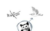 DieKatze.jpg